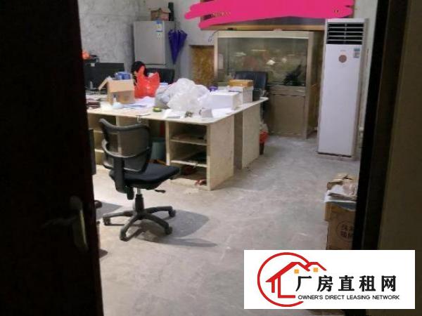  宝安石岩伟泰工业园2400平丶钢构厂房出租（红本丶房东直租）