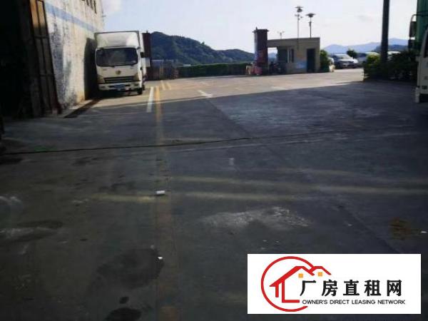  宝安石岩伟泰工业园2400平丶钢构厂房出租（红本丶房东直租）