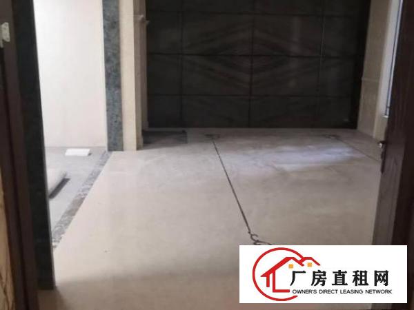  宝安石岩伟泰工业园2400平丶钢构厂房出租（红本丶房东直租）