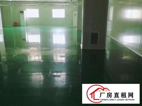  龙大高速出口0距离，2400平方厂房出租