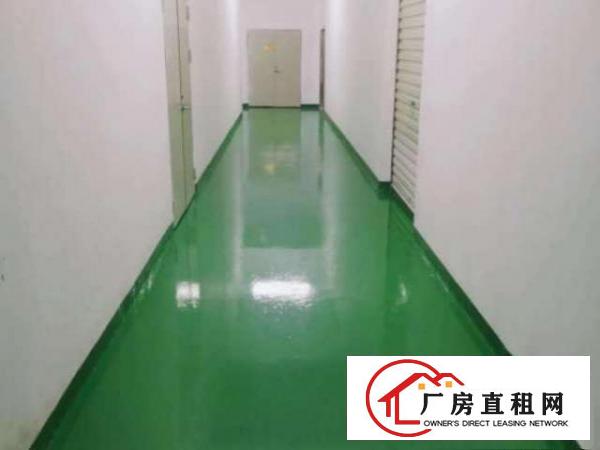  龙大高速出口0距离，2400平方厂房出租