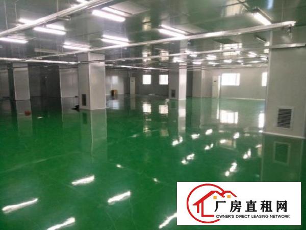  龙大高速出口0距离，2400平方厂房出租