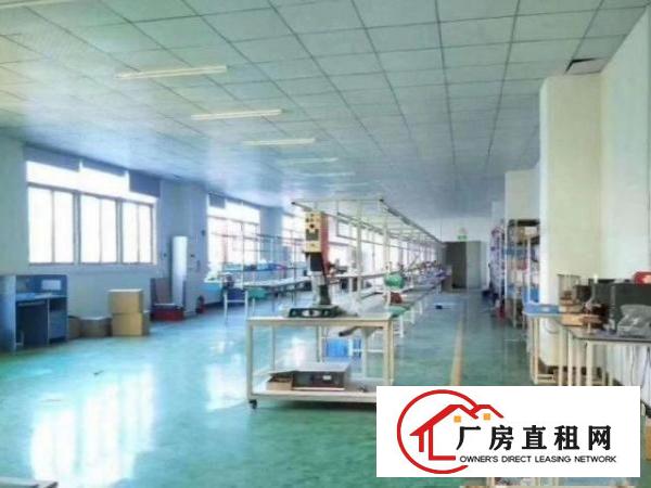  石岩水田新房源！原房东出租二楼500平厂房，带电梯