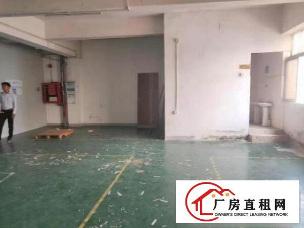  石岩石龙二楼厂房350平，有办公室，租金好谈