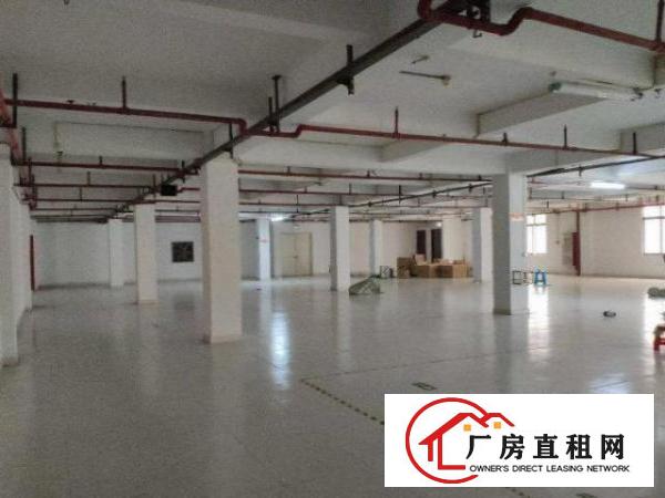  石岩罗租业主直租3楼厂房700平方，无公摊！空地大