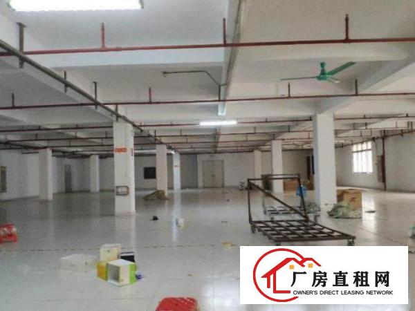  石岩罗租业主直租3楼厂房700平方，无公摊！空地大