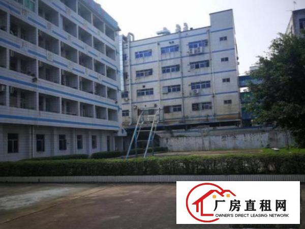  石岩麻布社区原房东一楼分租1350平