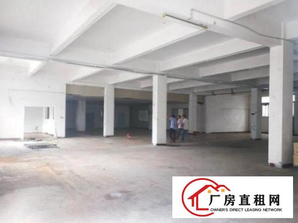  石岩麻布社区原房东一楼分租1350平