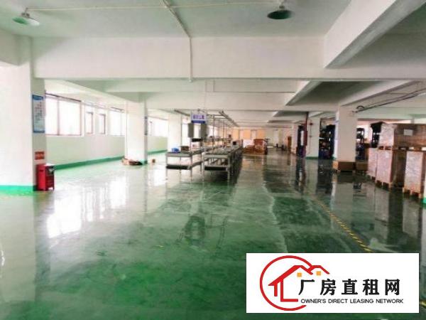  石岩浪心出租2楼厂房700平方！面积实在，周边设施齐全