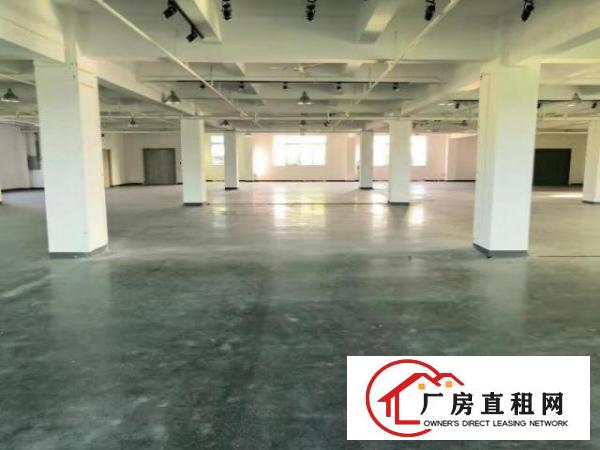  出租宝安区石岩物流园现成装修1500平方，只要20块