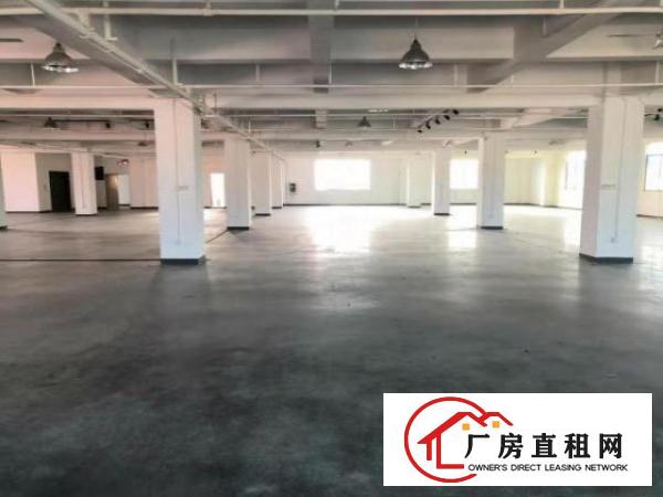  出租宝安区石岩物流园现成装修1500平方，只要20块