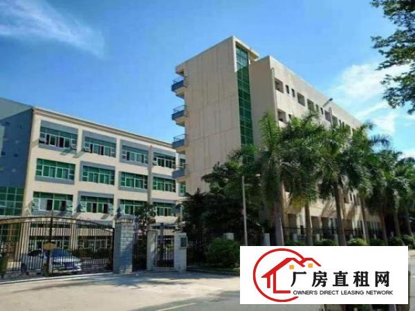 带喷淋！石岩标准楼上3000平仓库招租大小可分租！