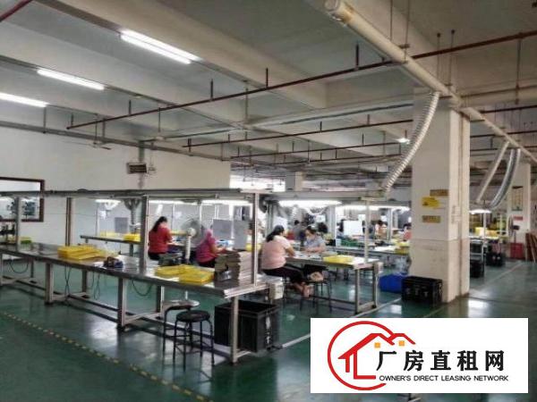  带喷淋！石岩标准楼上3000平仓库招租大小可分租！