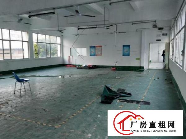  石岩水田楼上厂房450平米带装修出租，出行方便