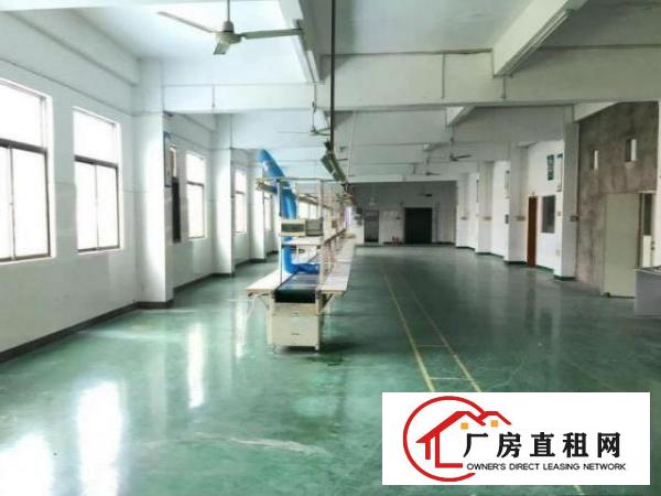  石岩石龙仔3楼厂房900平，可分租，原房东出租