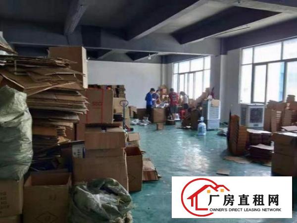  石岩宝源招租实际面积厂房480平方，无公摊