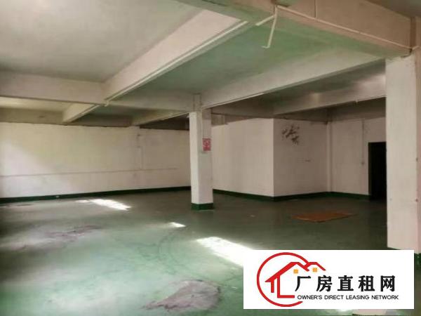  石岩一楼厂房300方出租，适合做电商办公仓储一体