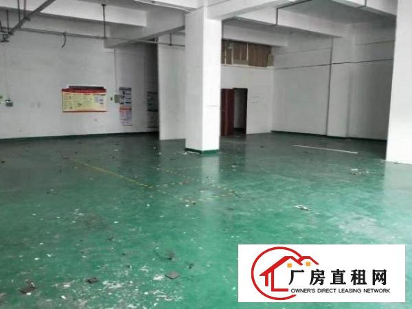  石岩径贝新房源！厂房380平方便宜出租，使用率高