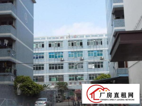  一个开阔的厂房，可装生产线，可以当仓库，面积大灵活使用