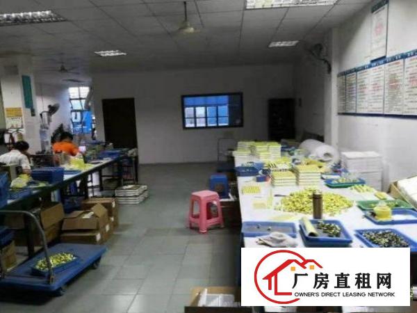 石岩罗租一楼350平面积厂房招租，可办环评，免转让费