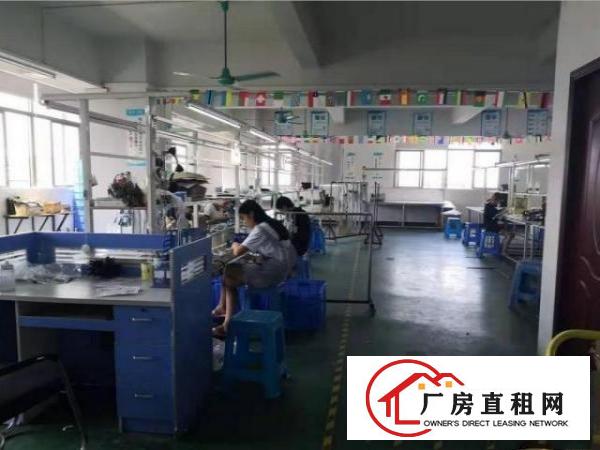  石岩径贝招租楼上厂房650平，无公摊，形象佳租期长