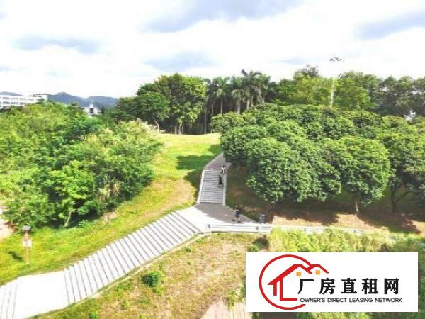  500平石岩塘头厂房出租