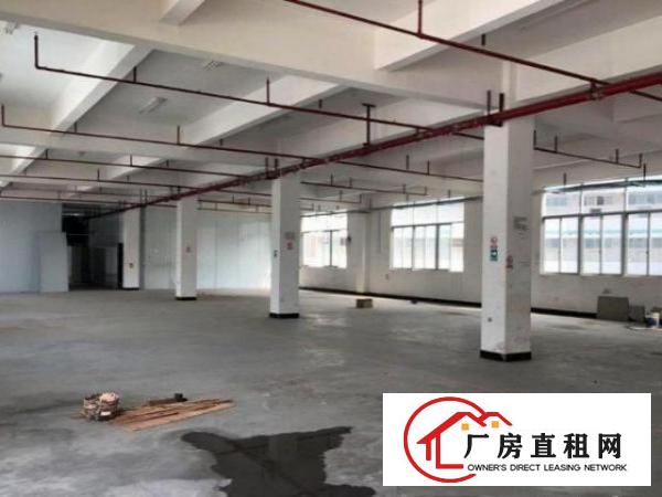  石岩塘坑一楼750平方厂房，现成装修，现成行车