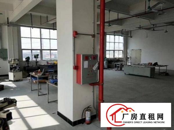  石岩塘头新出盘源！空出400平方厂房出租，隔好办公室