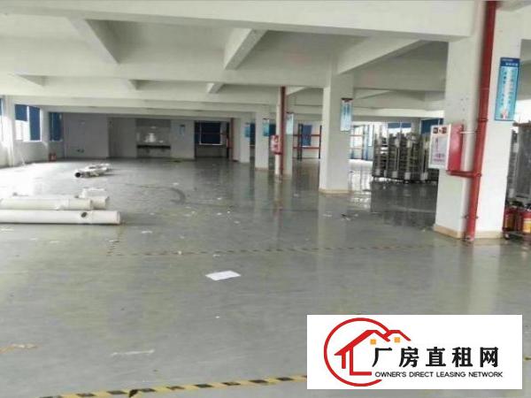  石岩麻布空出楼上600平厂房出租，光线好，带装修