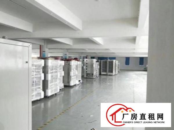  石岩麻布空出楼上600平厂房出租，光线好，带装修