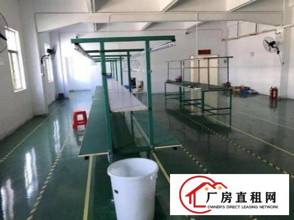  石岩招租2楼厂房260平，现成装修，利用率高