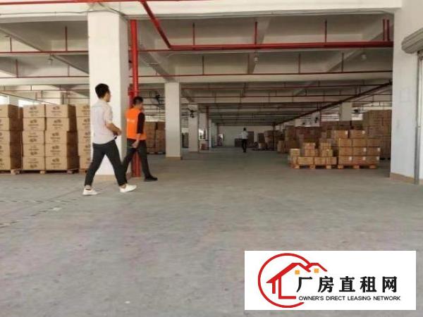  石岩园美一楼厂房出租1500平，有房产证，可分租