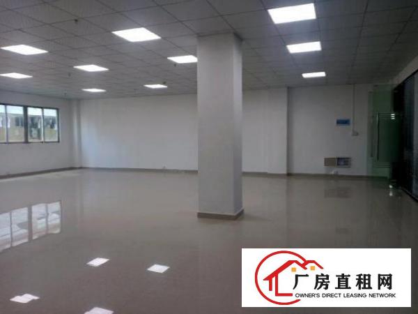  位于上屋地铁口原房栋出租300平方