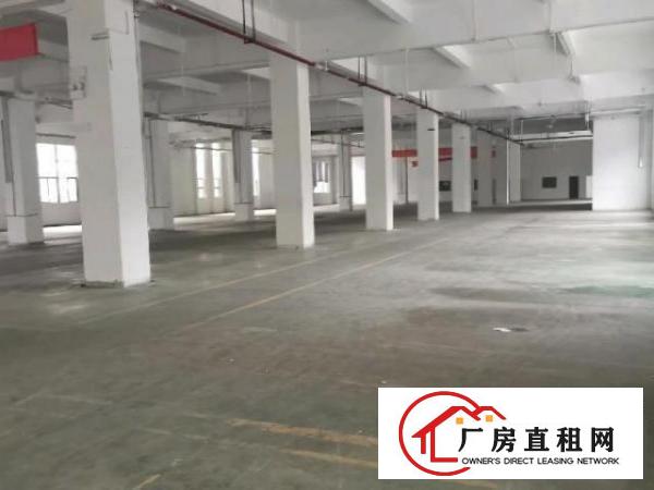  高档厂房，高端写字楼，大型仓库。