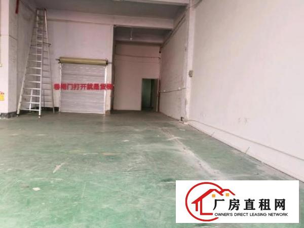  （非中介）一手房东红本厂房直招租环境干净户型方正采光好水电齐