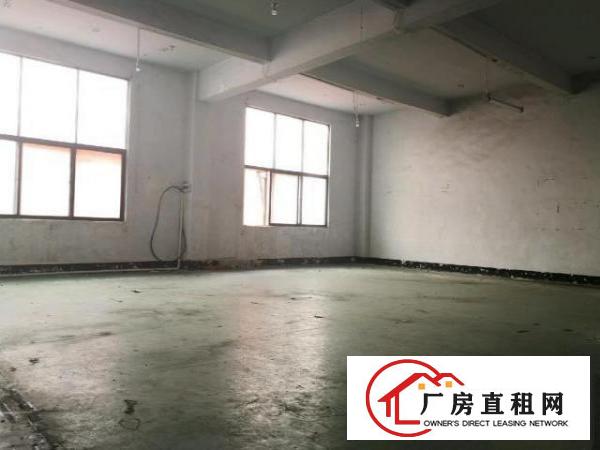  （非中介）一手房东红本厂房直招租环境干净户型方正采光好水电齐