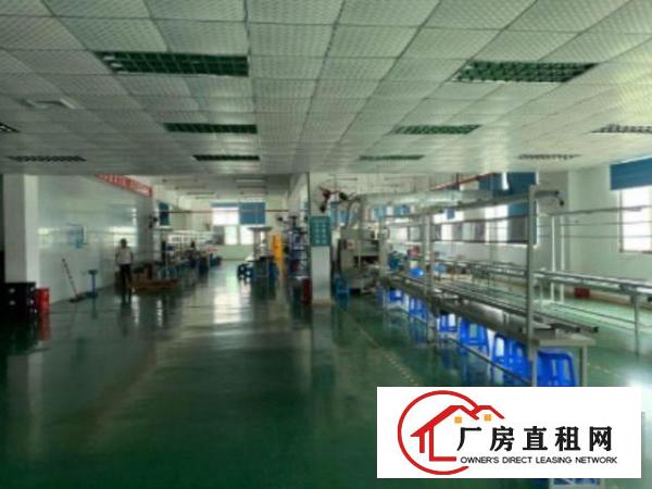  塘头原房东1200平方可以分组