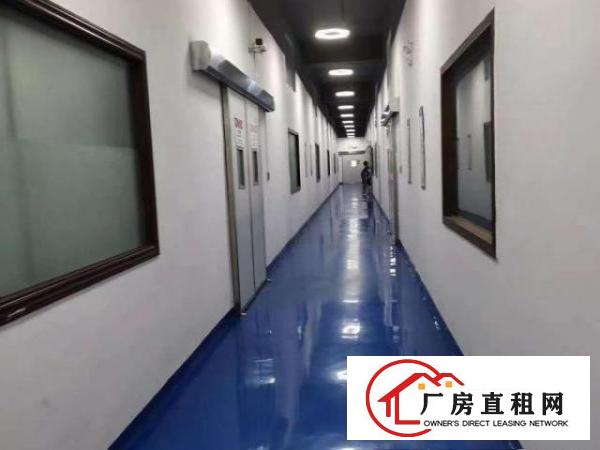  应人石2楼1000平出租，可以分组一半