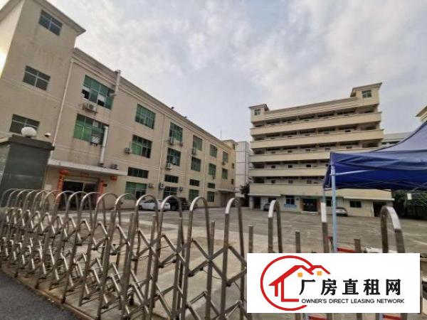  石岩原房东稀缺独院实际面积出租
