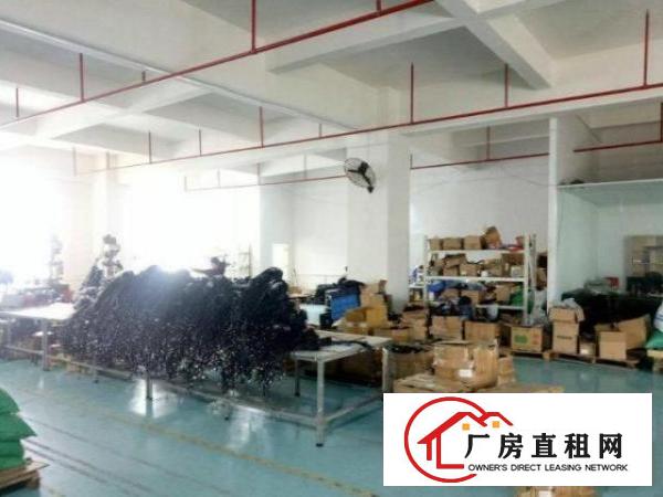  石岩三祝里一楼厂房500方出租，形象好，可过环评！形象佳