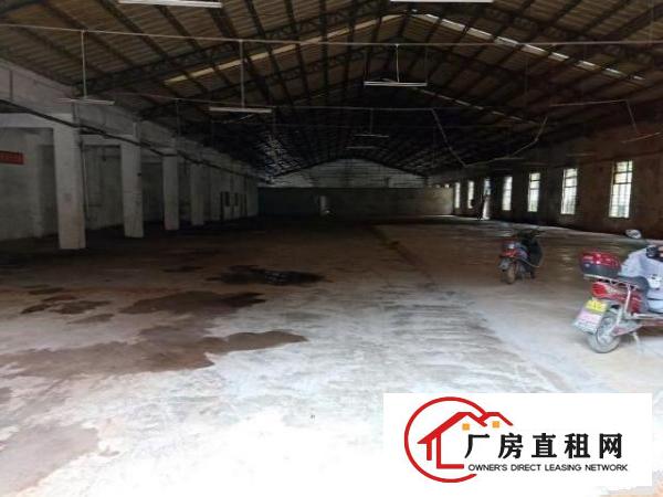  业主直租一楼钢构厂房石岩石龙仔