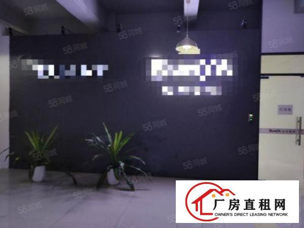  石岩北环路原房东楼上560平，豪华装修，无转让费厂房出租