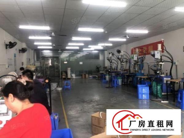  石岩汽车站附近，新出480平，全新带精装修厂房
