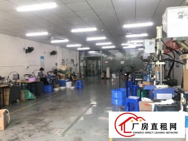  石岩汽车站附近，新出480平，全新带精装修厂房