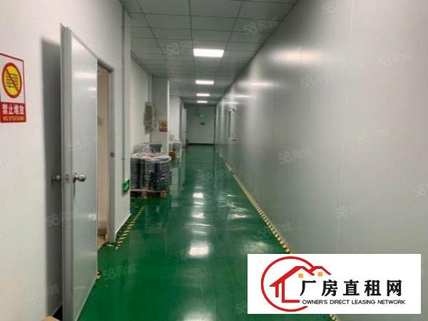  转让料坑工业区楼上1180平精装修厂房有无尘车间