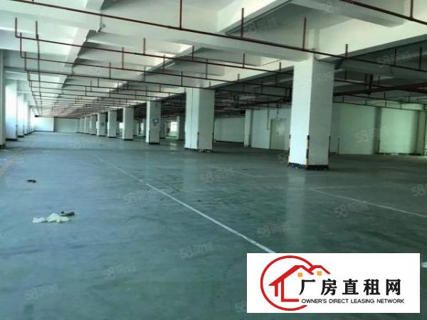  塘头原房东1500平房东直租
