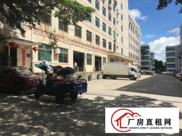  塘头原房东1500平房东直租