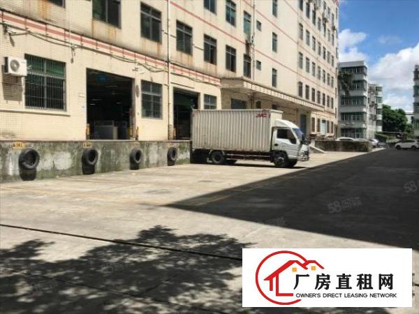  塘头原房东1500平房东直租