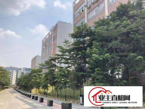  石岩花园式红本科技园新出楼上整层2500平方厂房出租