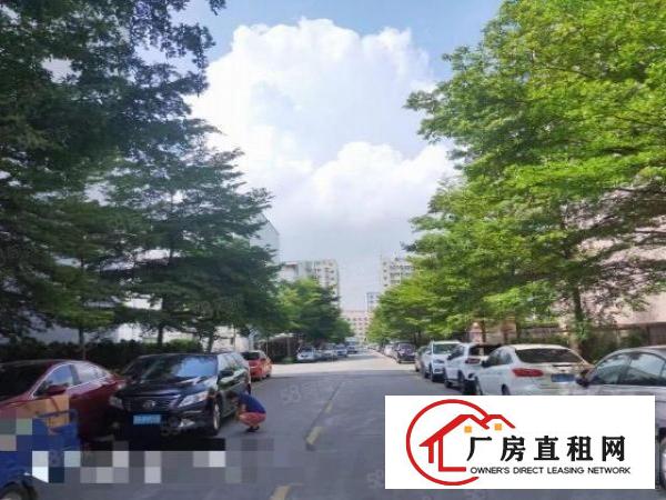  石岩新出原房东楼上650平，面积实在，租金便宜
